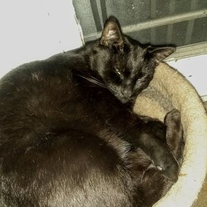 Meet your Posher, Donna